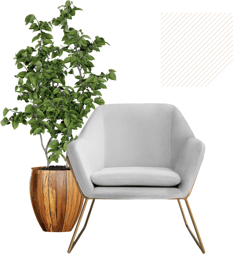 chaise plante